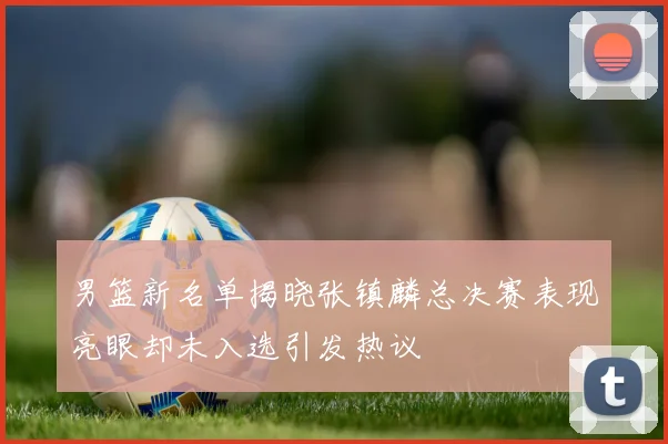 男篮新名单揭晓张镇麟总决赛表现亮眼却未入选引发热议
