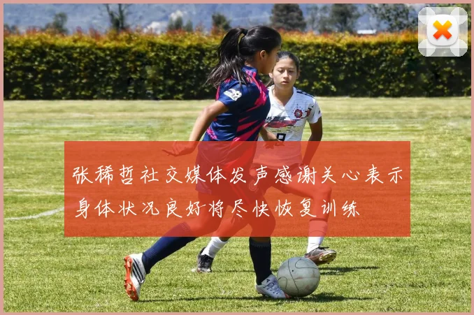 张稀哲社交媒体发声感谢关心表示身体状况良好将尽快恢复训练